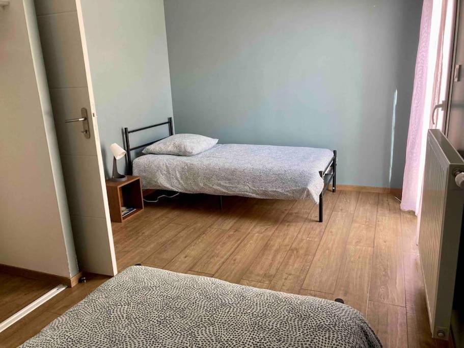 Апартаменты Quai Sud - Gare, 100 M2, Parking, Wifi, Superette, Lave Linge Анже Экстерьер фото