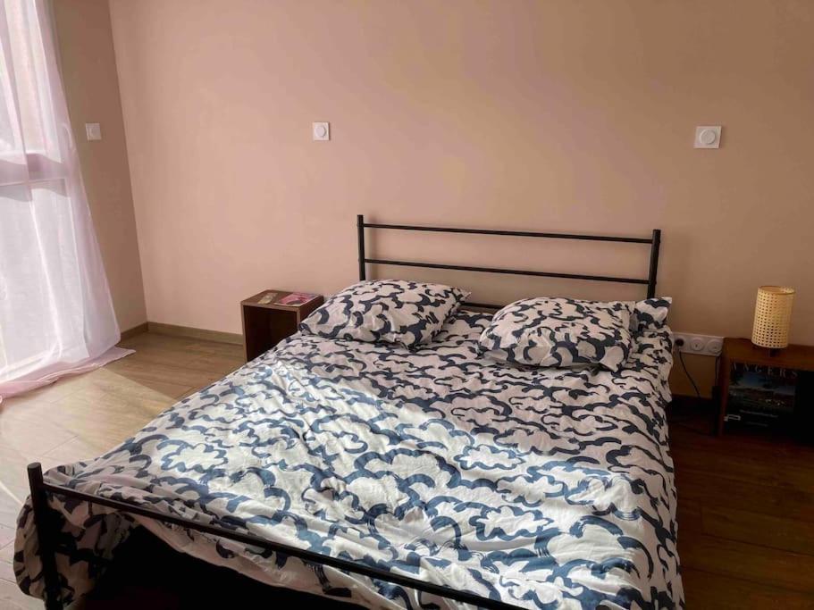 Апартаменты Quai Sud - Gare, 100 M2, Parking, Wifi, Superette, Lave Linge Анже Экстерьер фото