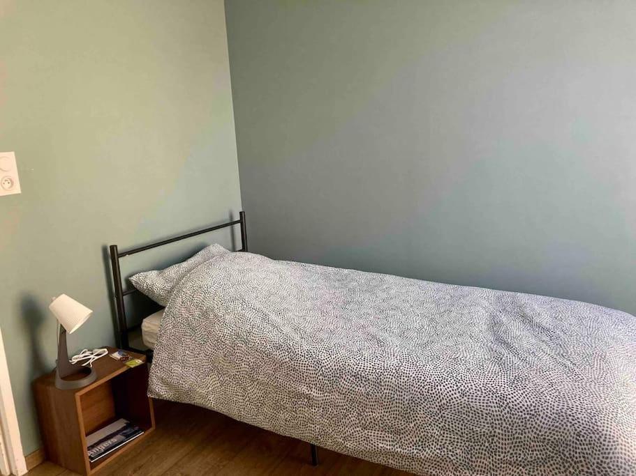 Апартаменты Quai Sud - Gare, 100 M2, Parking, Wifi, Superette, Lave Linge Анже Экстерьер фото